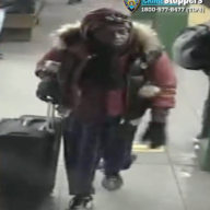 Suspect who attacked girl in Manhattan subway